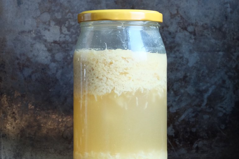 Ferment po pięciu dniach