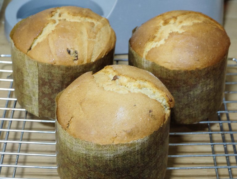 Panettone