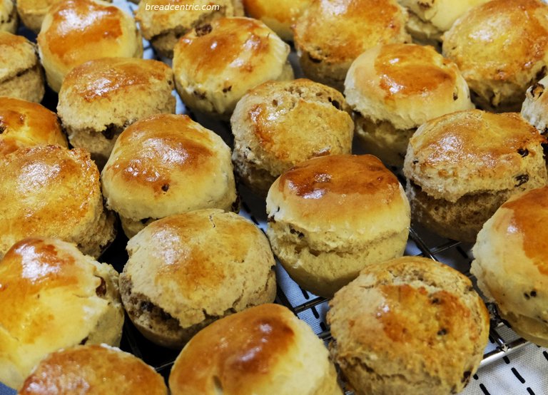 Scone’y