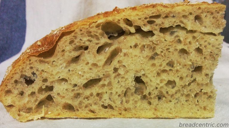 Miękisz (widoczna porwana struktura ciasta w górnej części)