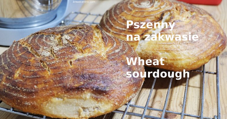 Chleb pszenny na zakwasie