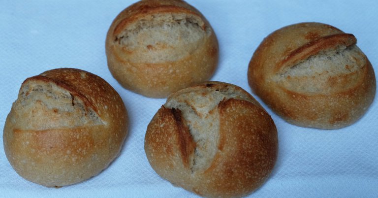 Bułki na wodzie drożdżowej