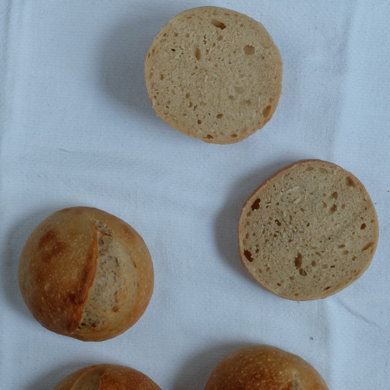 Bułki na wodzie drożdżowej: miękisz